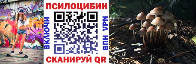 наркота Геленджик Псилоцибиновые грибы мицелий