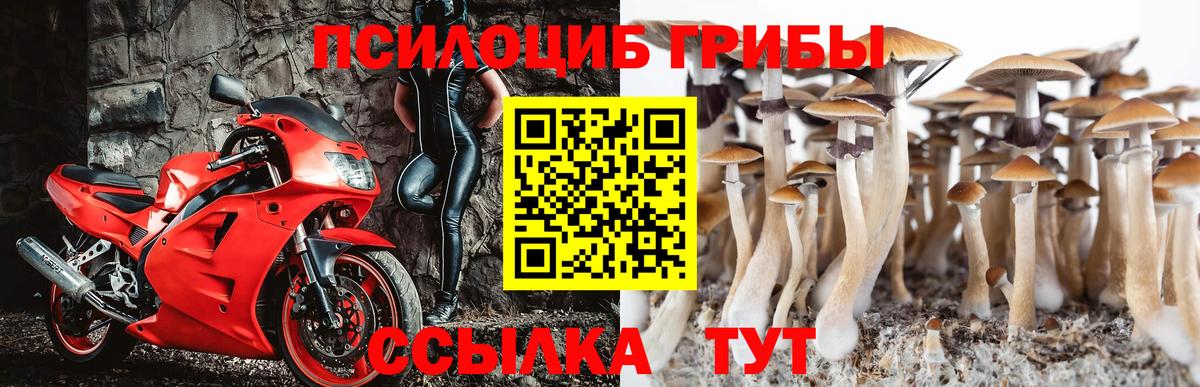 Галлюциногенные грибы Cubensis  Вход с VPN  Геленджик 